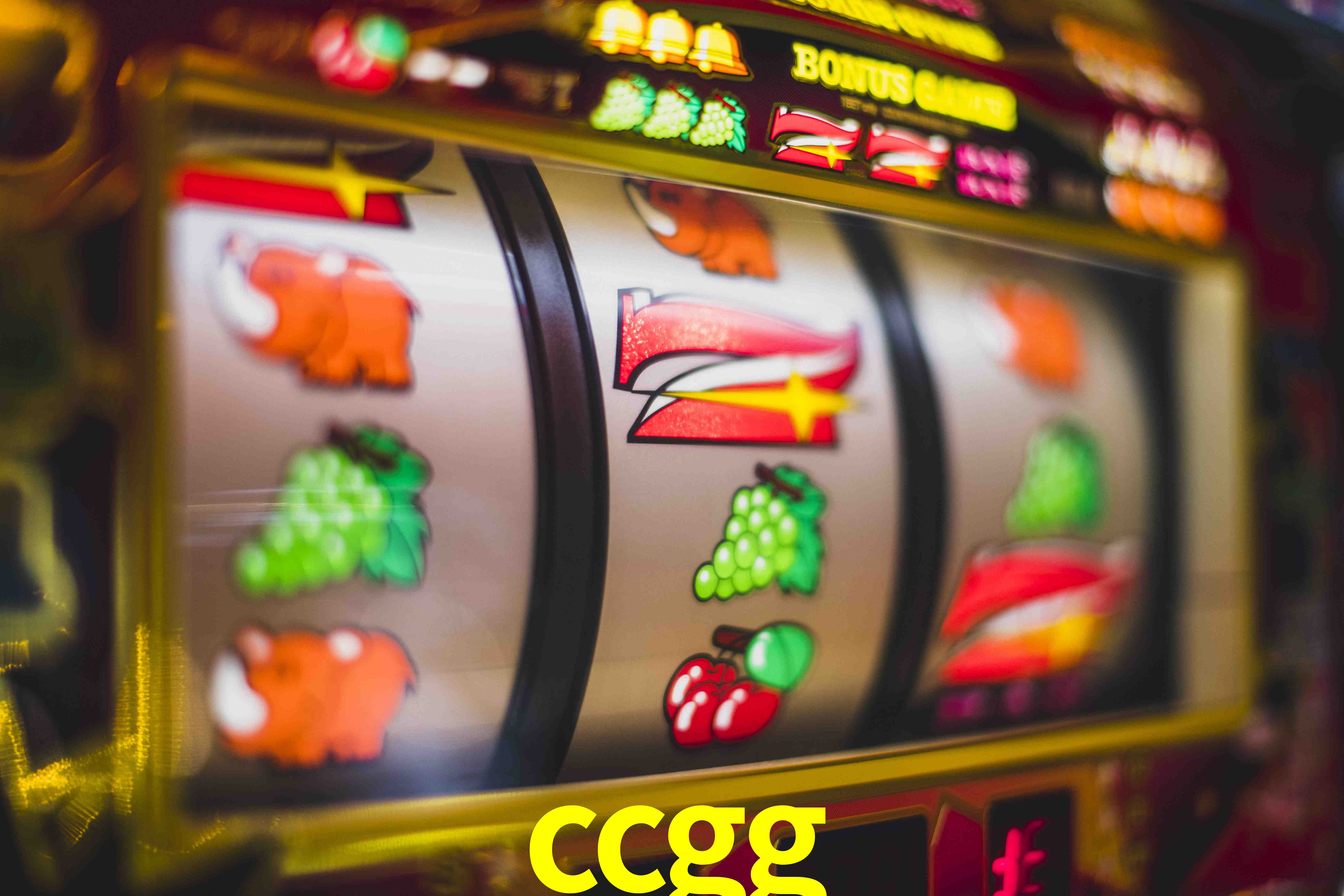 Basketball Betting ccgg